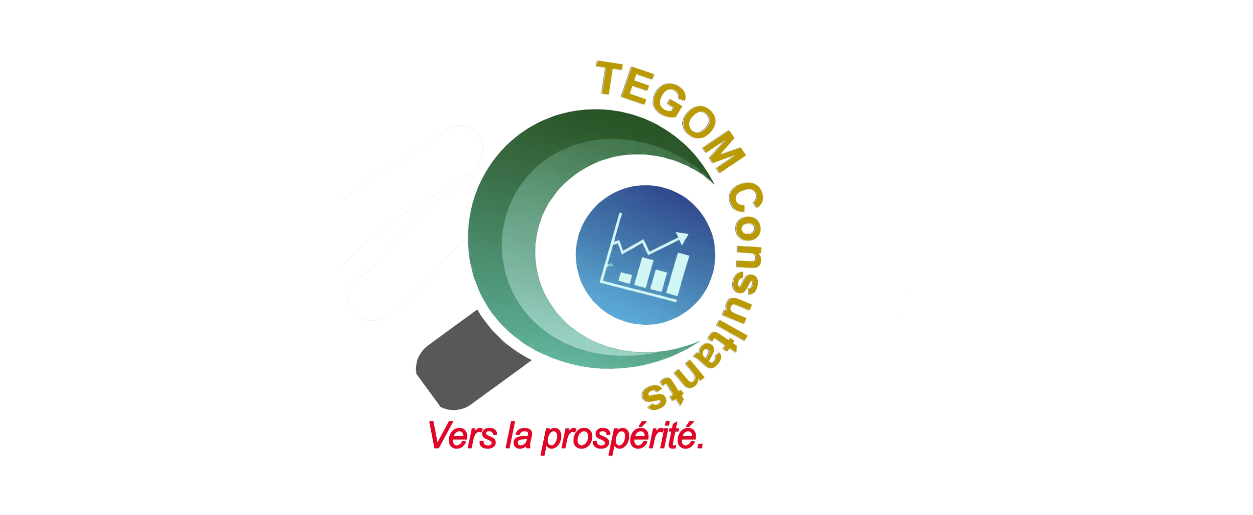 Tegom Consultants
